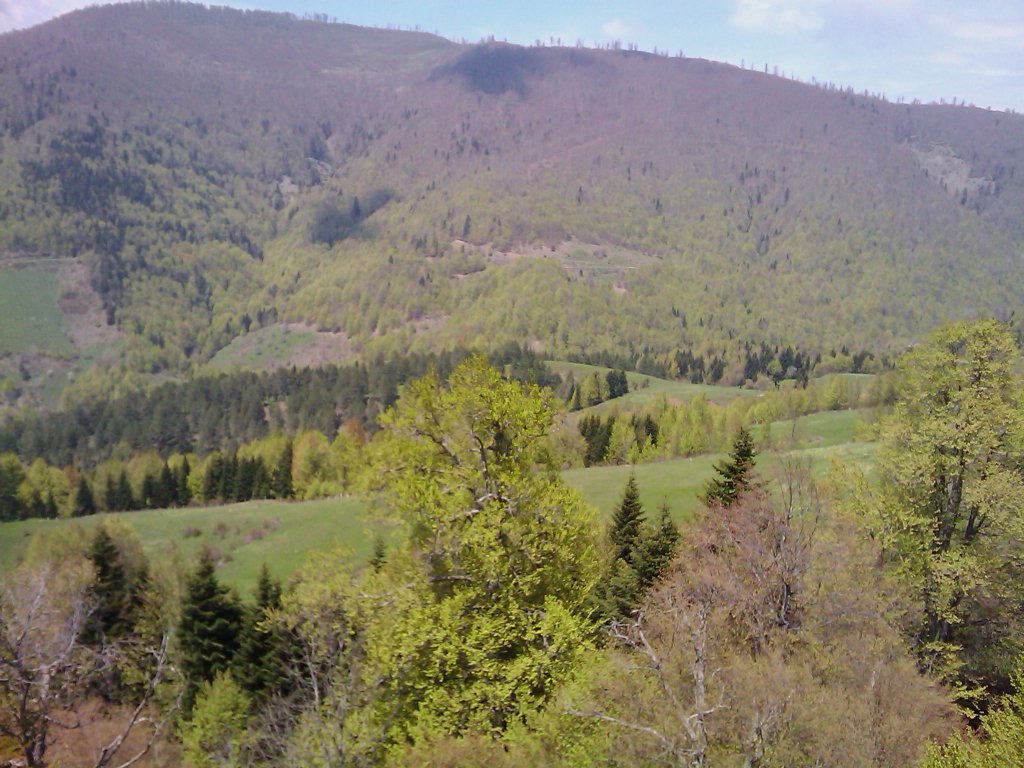 IMAGE_171.jpg
