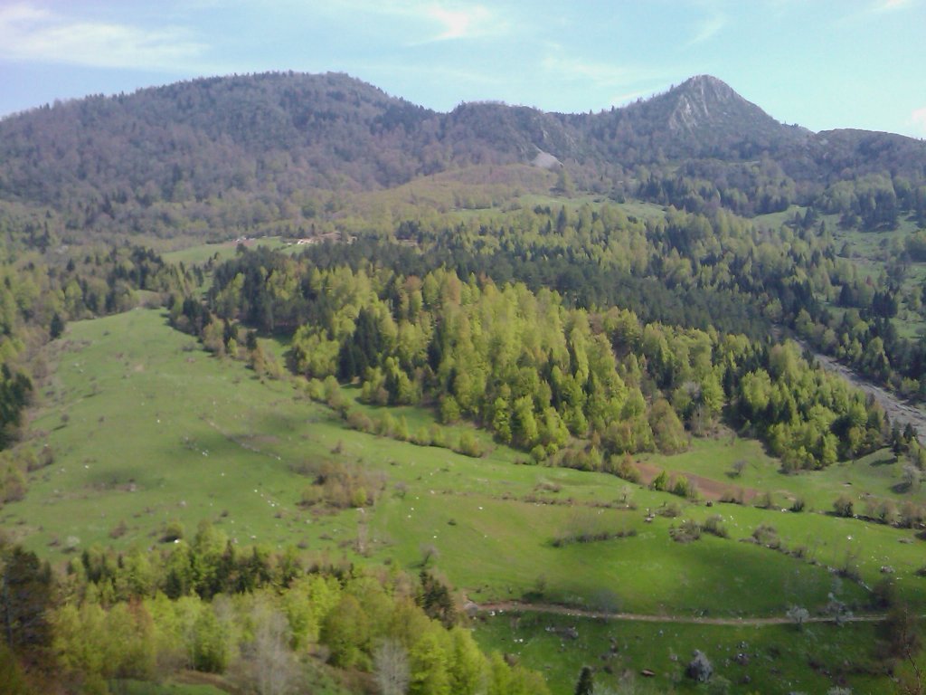 IMAGE_183.jpg