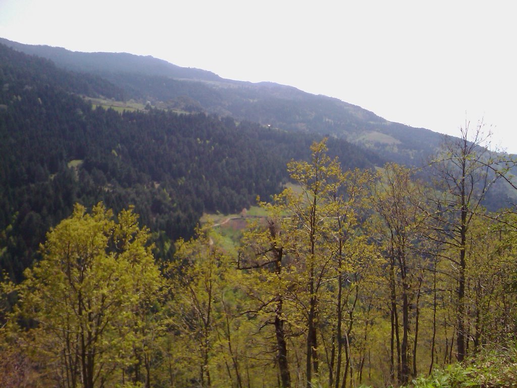 IMAGE_190.jpg