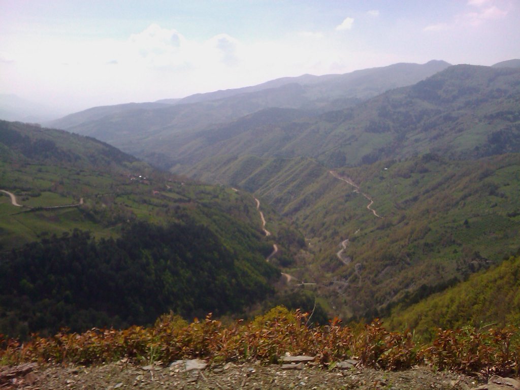 IMAGE_191.jpg