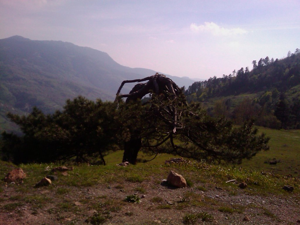 IMAGE_201.jpg