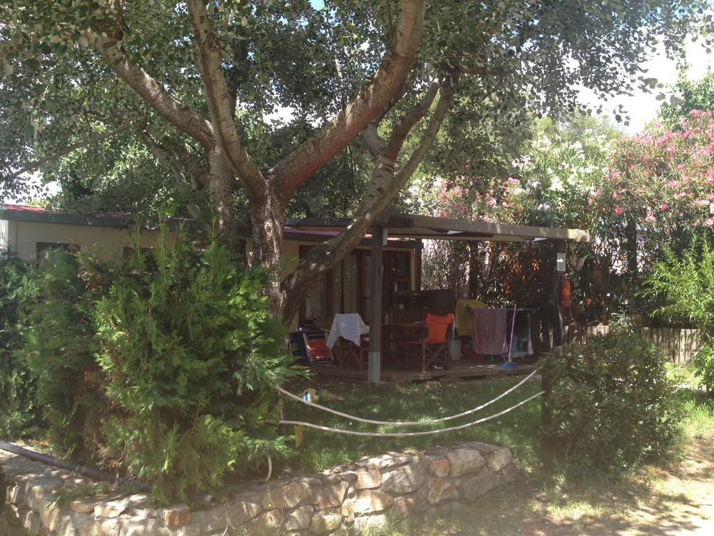 ImageUploadedByTapatalk1372807224.313999.jpg