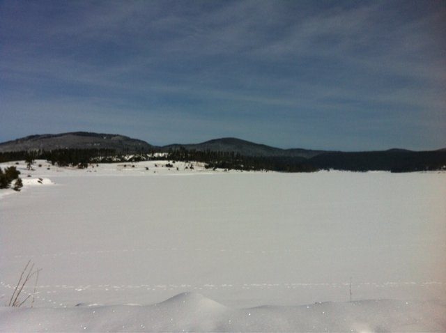 ImageUploadedByTapatalk1402035726.312254.jpg