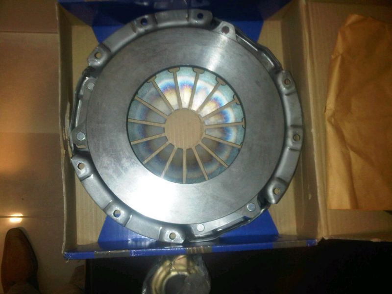 IMG-20101110-00028.jpg