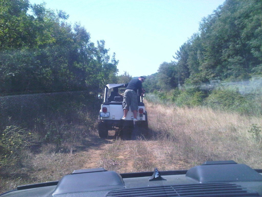 IMG-20110814-00331.jpg