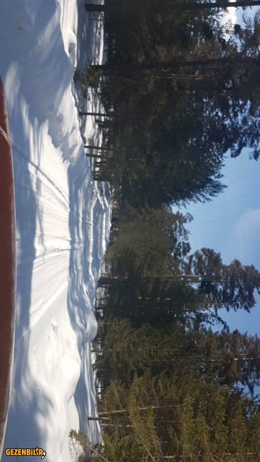 IMG-20170219-WA0050.jpeg