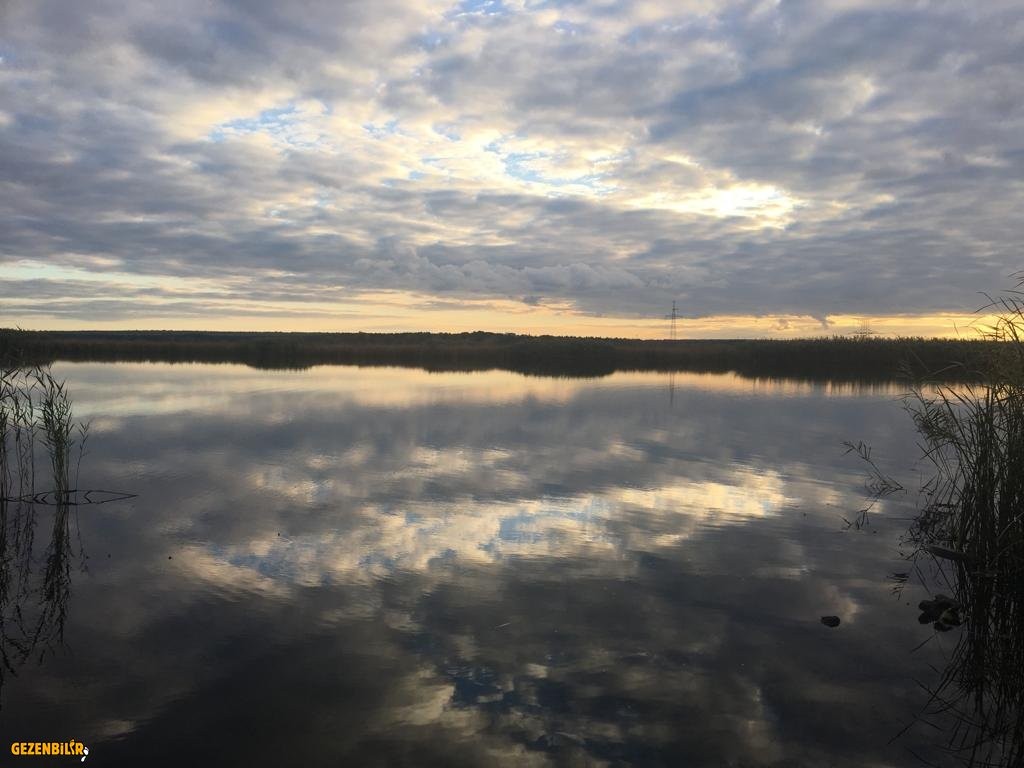 IMG-20181104-WA0009.jpg