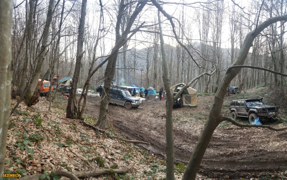 IMG-20190203-WA0036.jpg