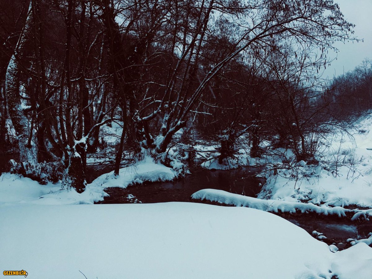 IMG-20190224-WA0005.jpg