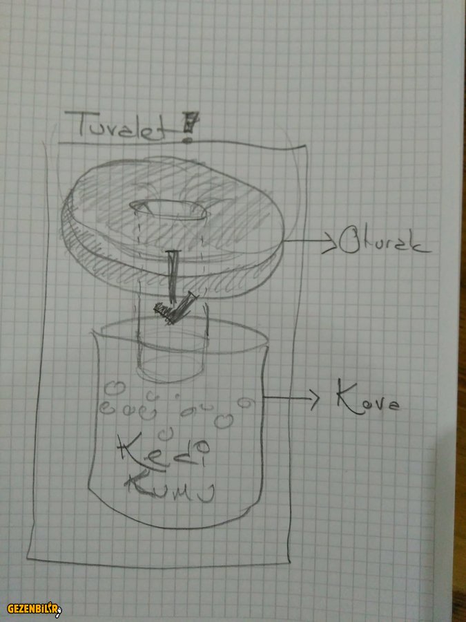 IMG-20190912-WA0001.jpg