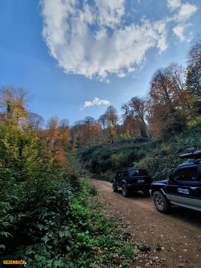 IMG-20191110-WA0013.jpg