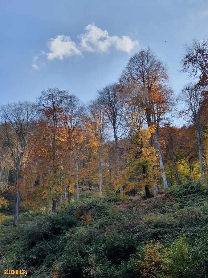IMG-20191110-WA0016.jpg