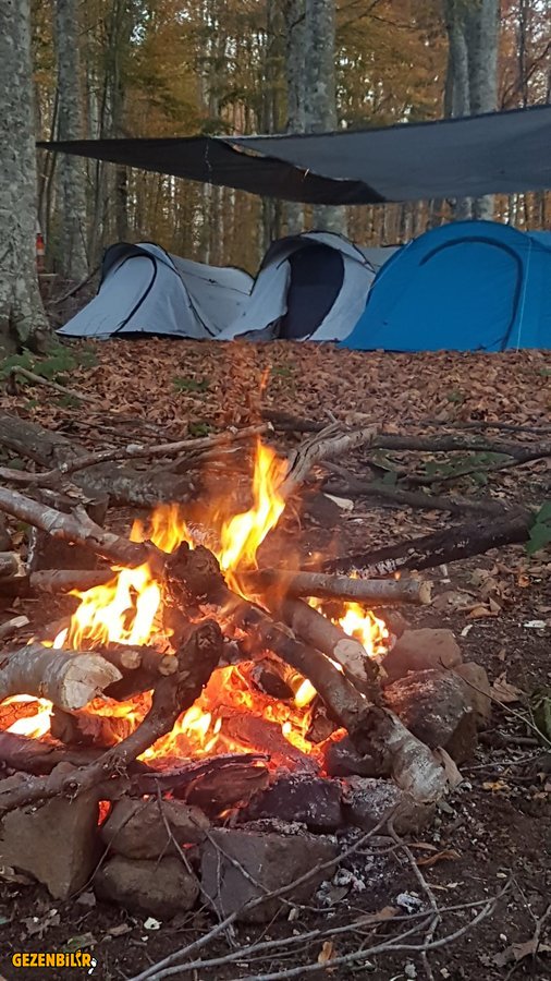 IMG-20191110-WA0018.jpg