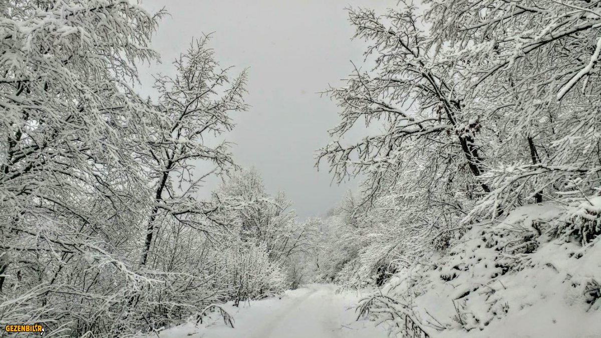 IMG-20191229-WA0070.jpg