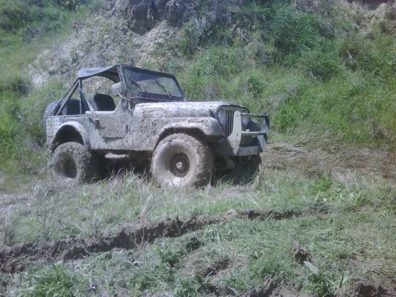 IMG00108-20110417-1319.jpg