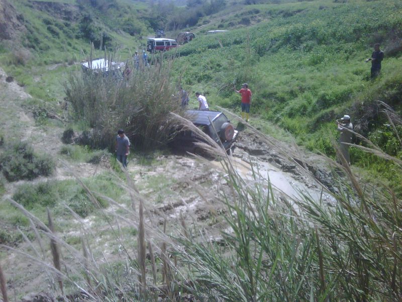 IMG00111-20110417-1349.jpg