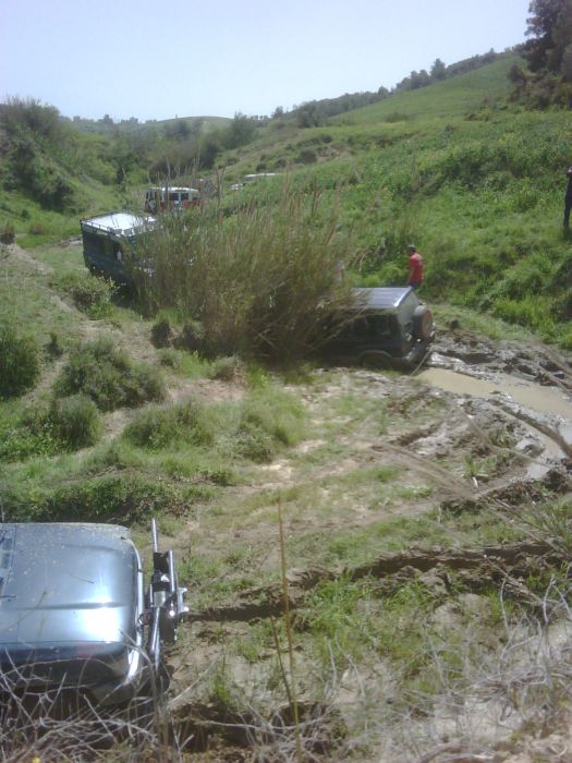 IMG00113-20110417-1349.jpg
