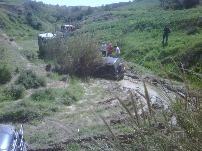 IMG00116-20110417-1350.jpg