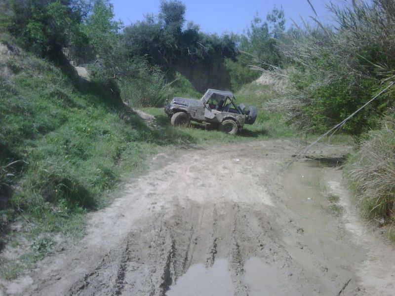 IMG00117-20110417-1431.jpg