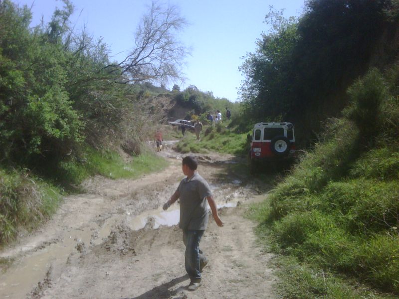 IMG00119-20110417-1432.jpg