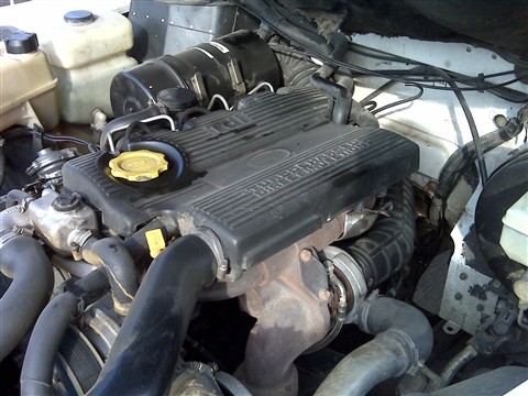 IMG00131_s.jpg