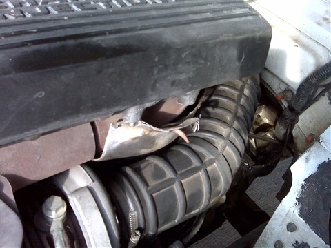 IMG00132_s.jpg