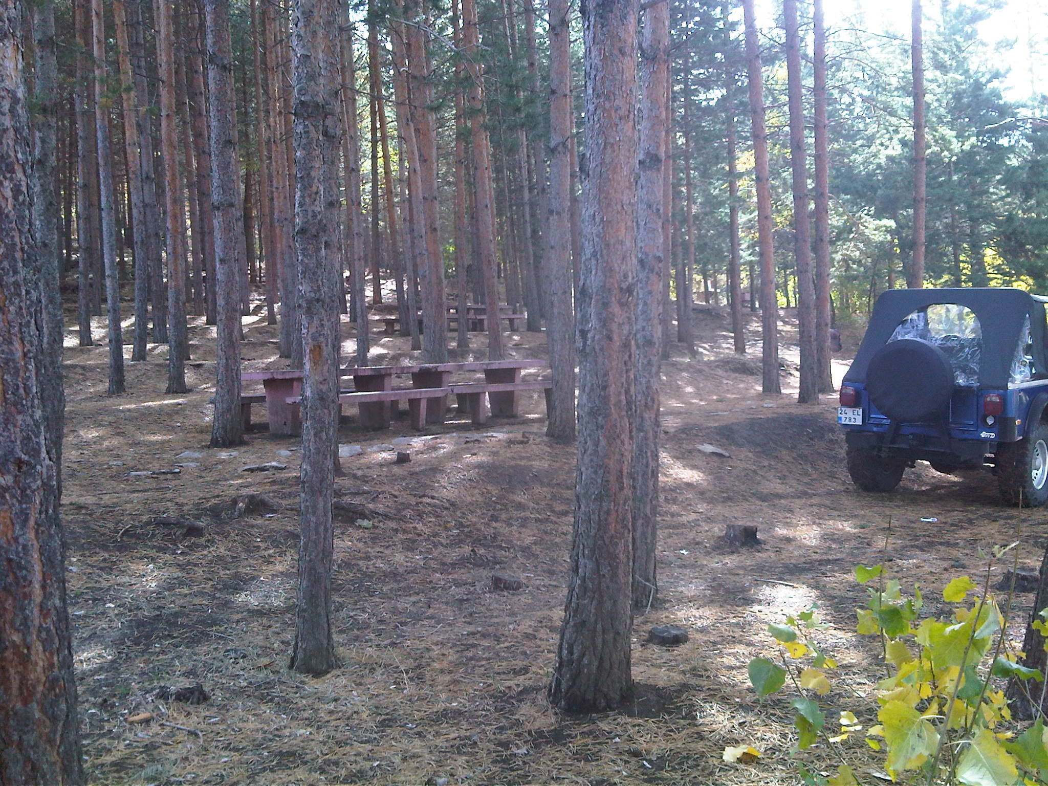 IMG00322-20111016-1052.jpg