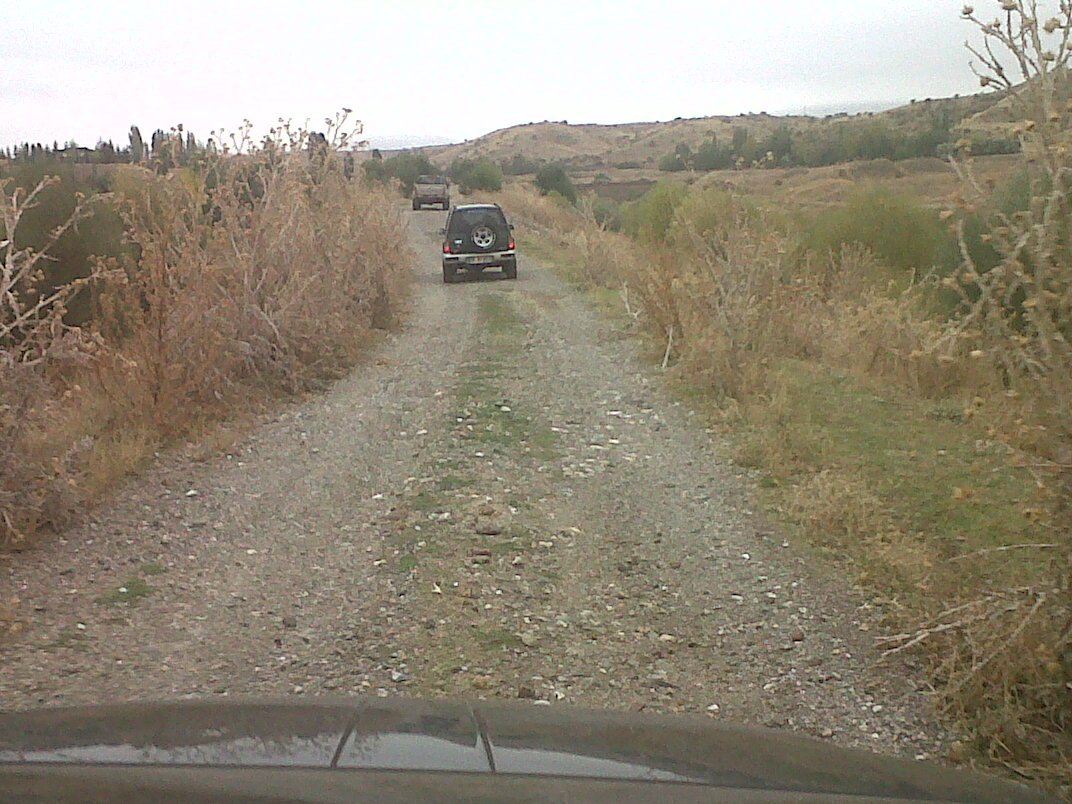 IMG00343-20111016-1139.jpg