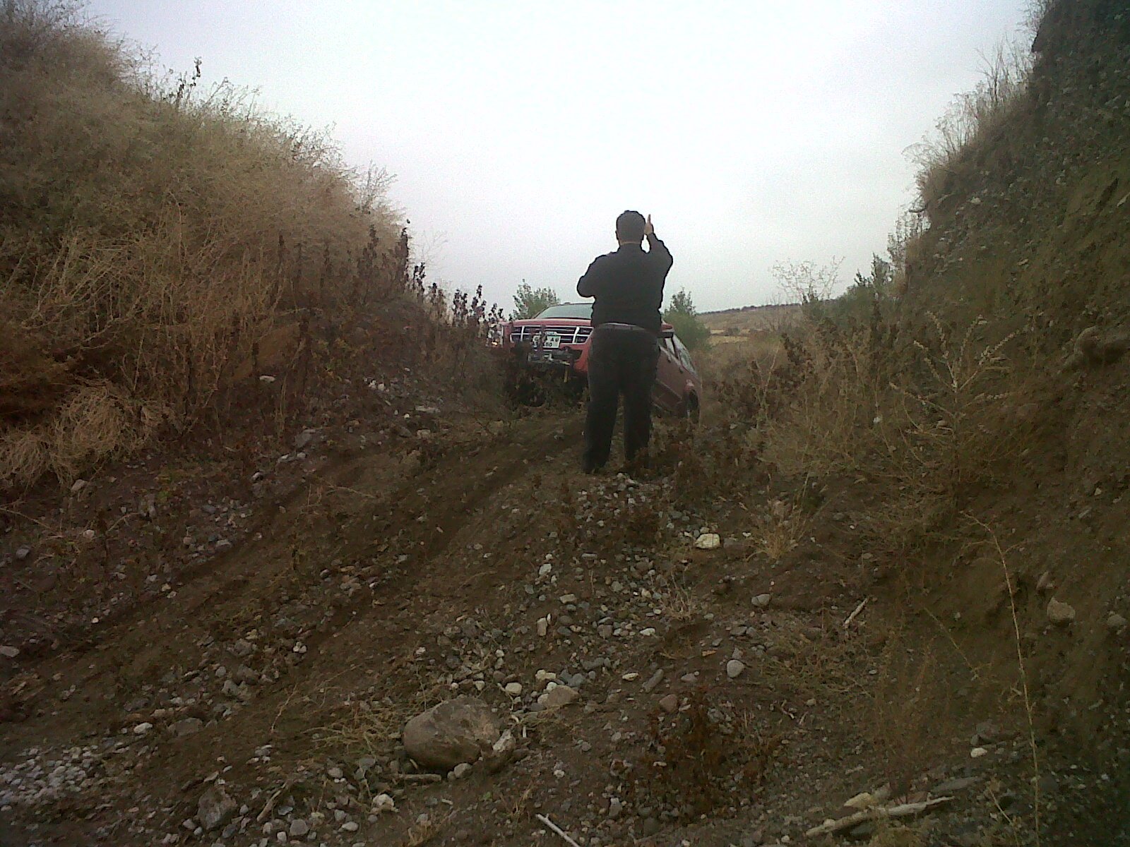 IMG00363-20111016-1233.jpg