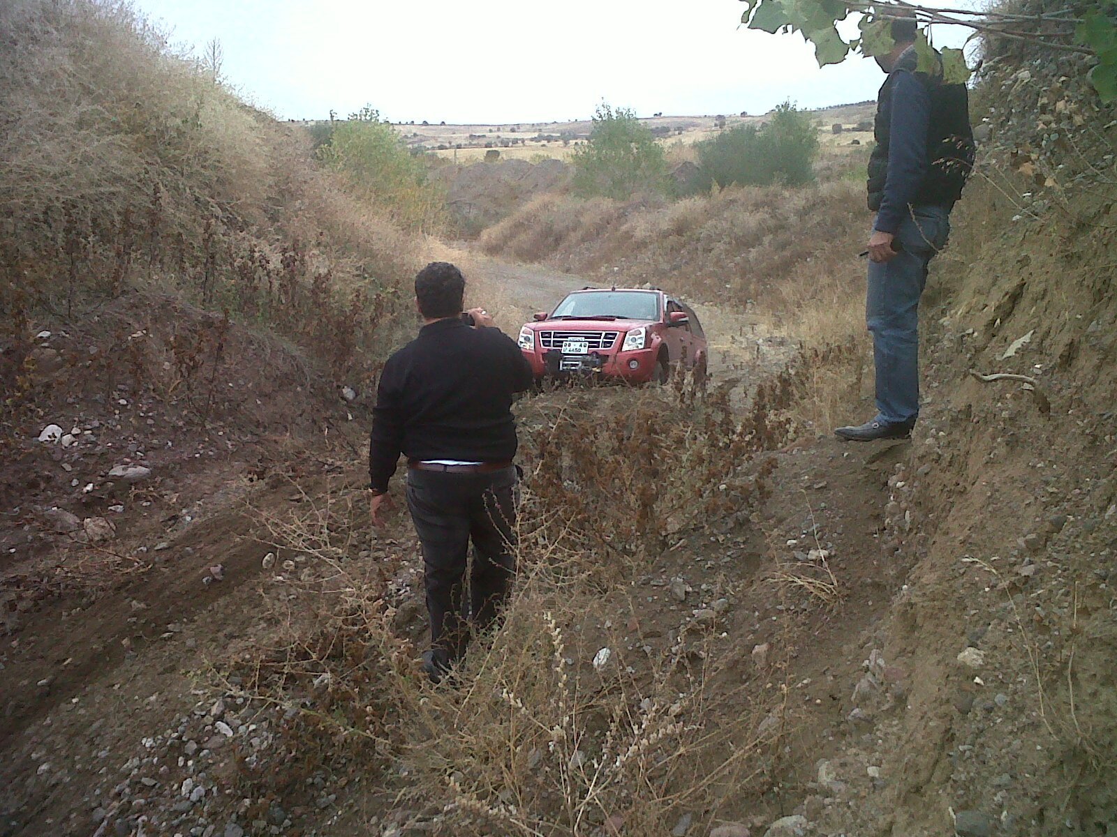IMG00364-20111016-1234.jpg