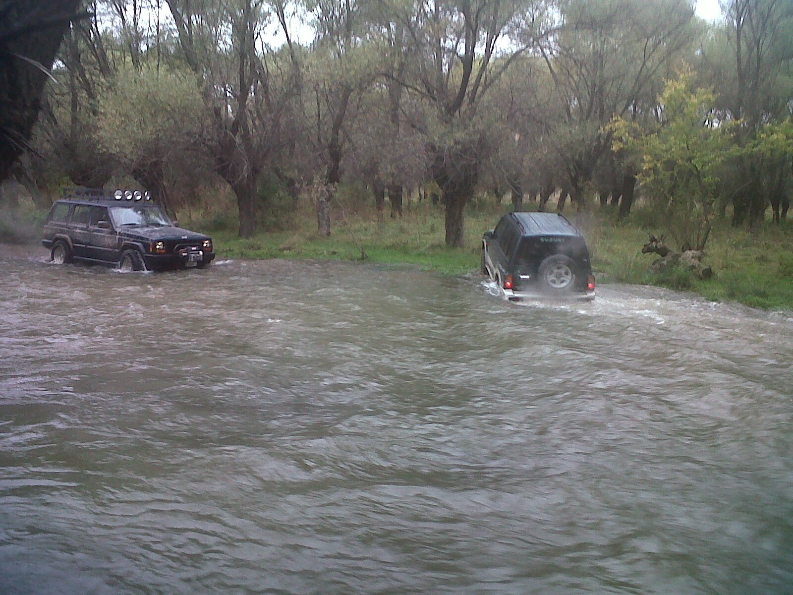 IMG00383-20111016-1420.jpg