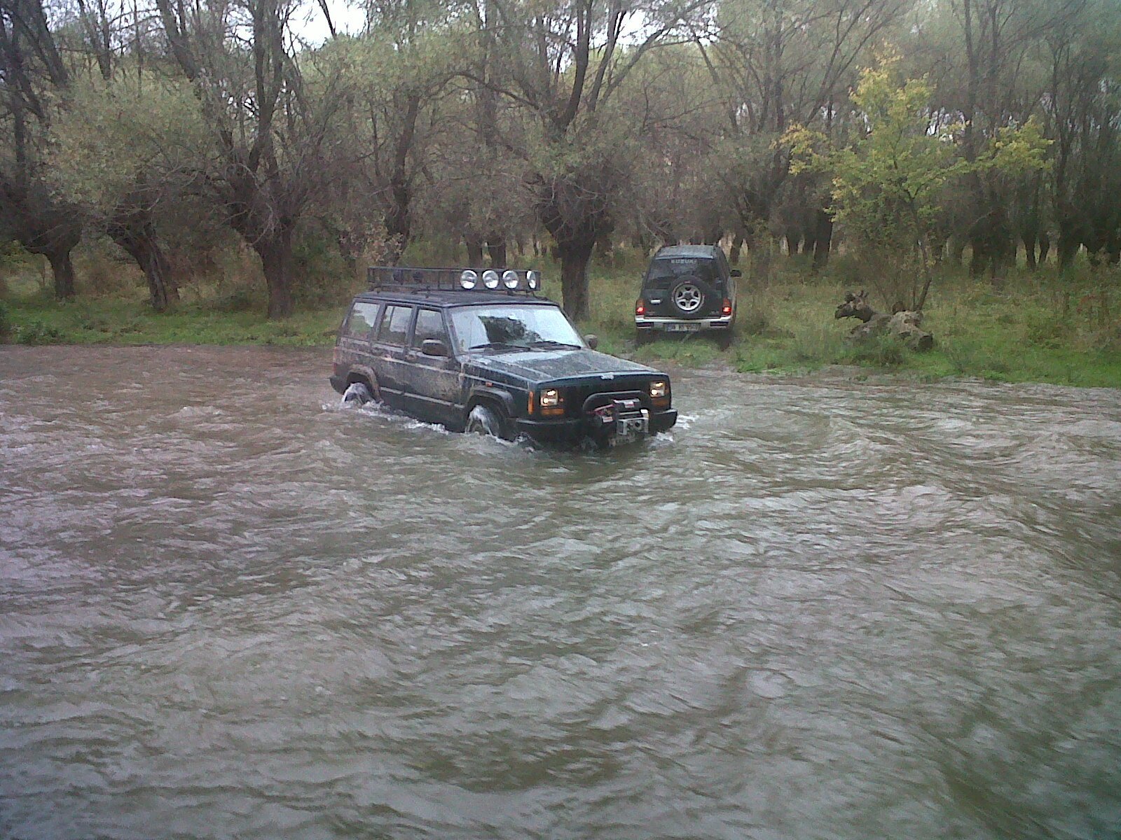 IMG00384-20111016-1420.jpg