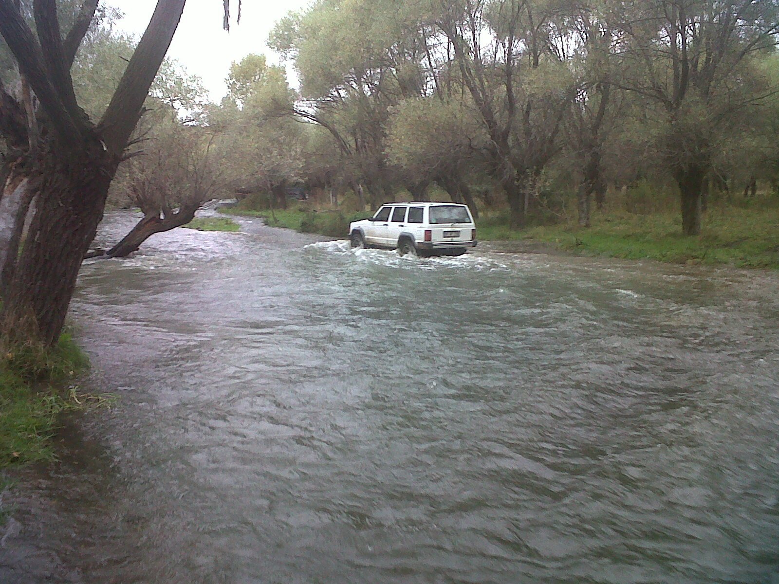 IMG00389-20111016-1421.jpg