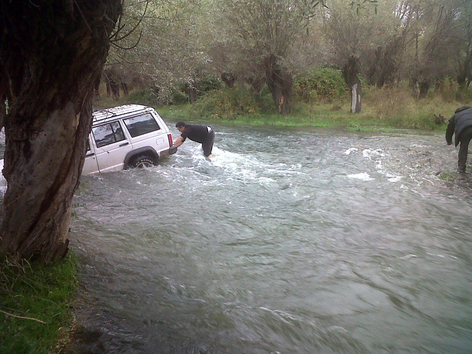 IMG00393-20111016-1428.jpg