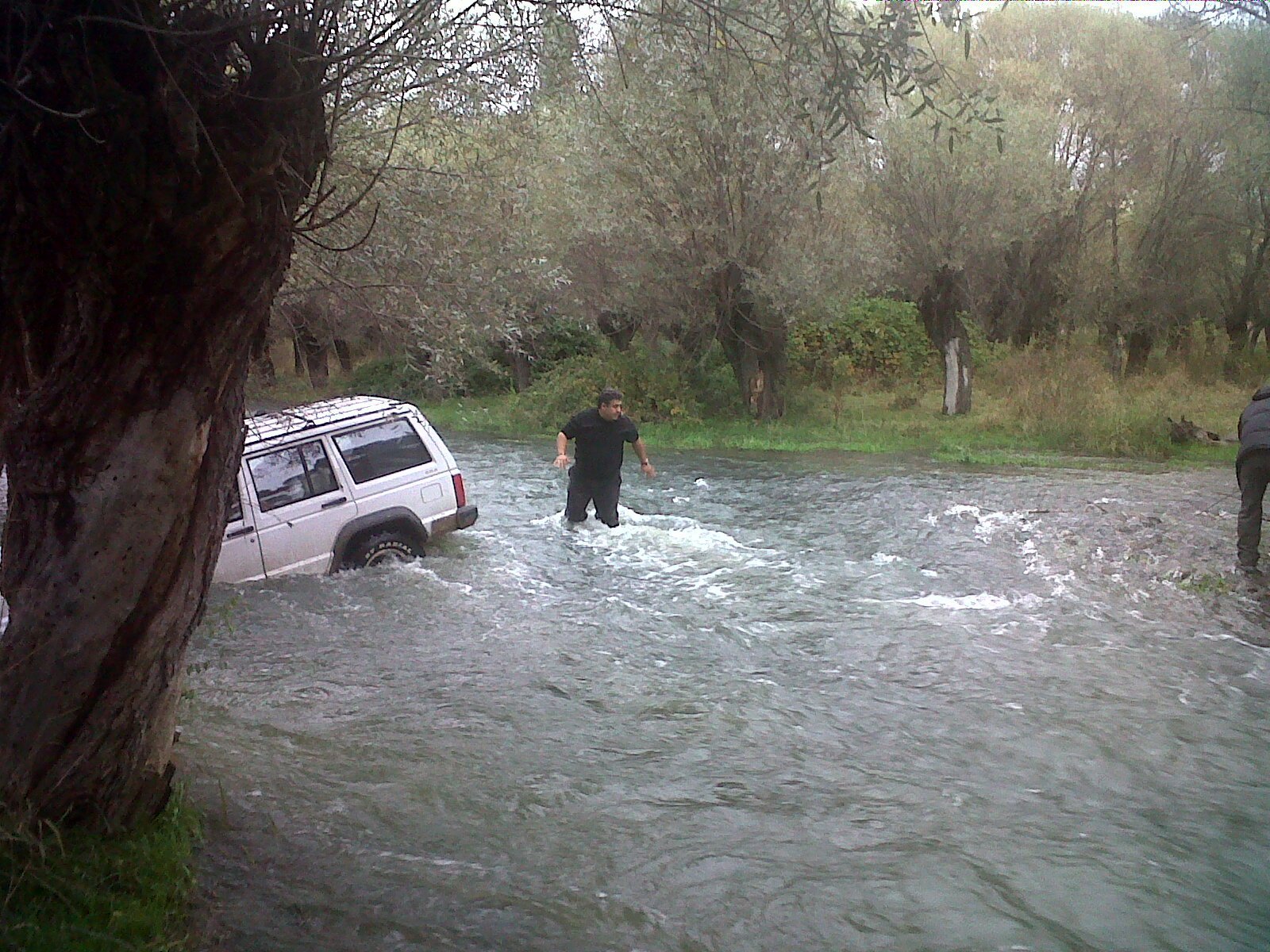 IMG00394-20111016-1428.jpg
