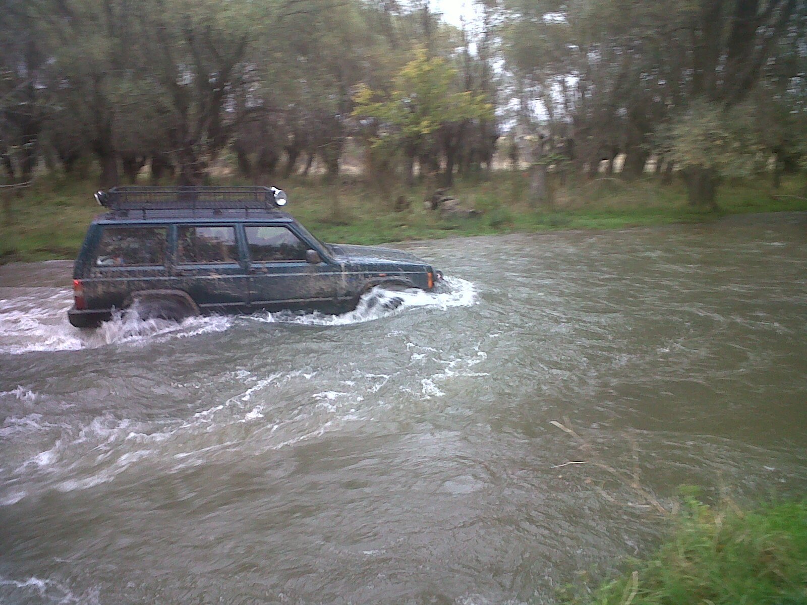 IMG00395-20111016-1439.jpg