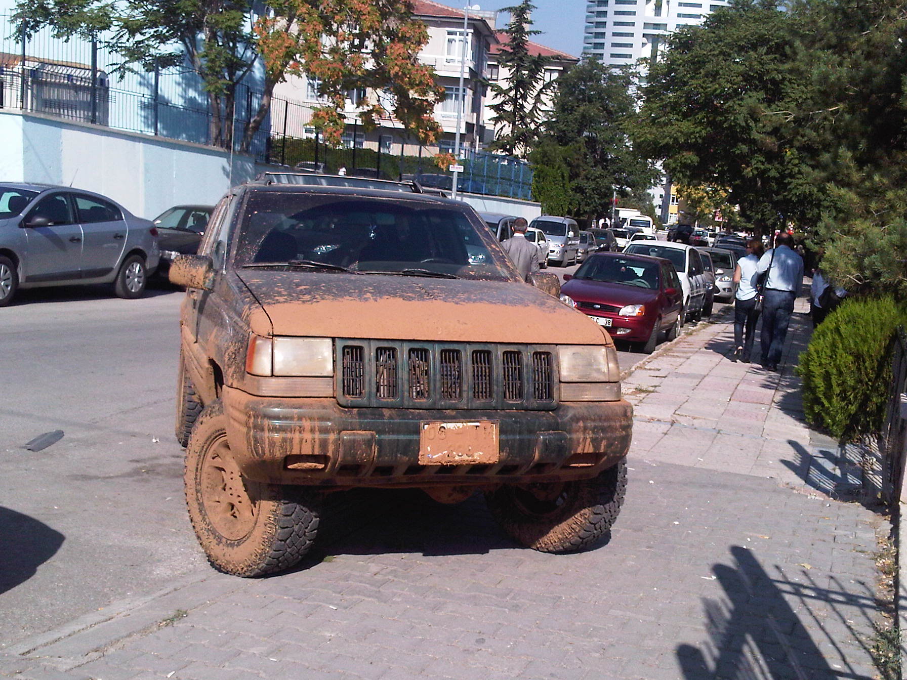 IMG00440-20110919-1023.jpg