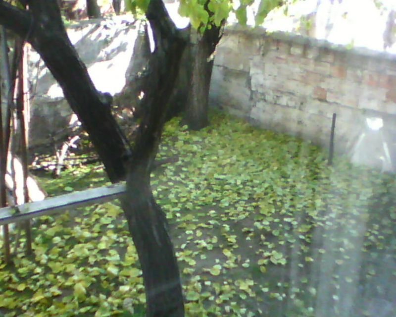 IMG0044A.jpg