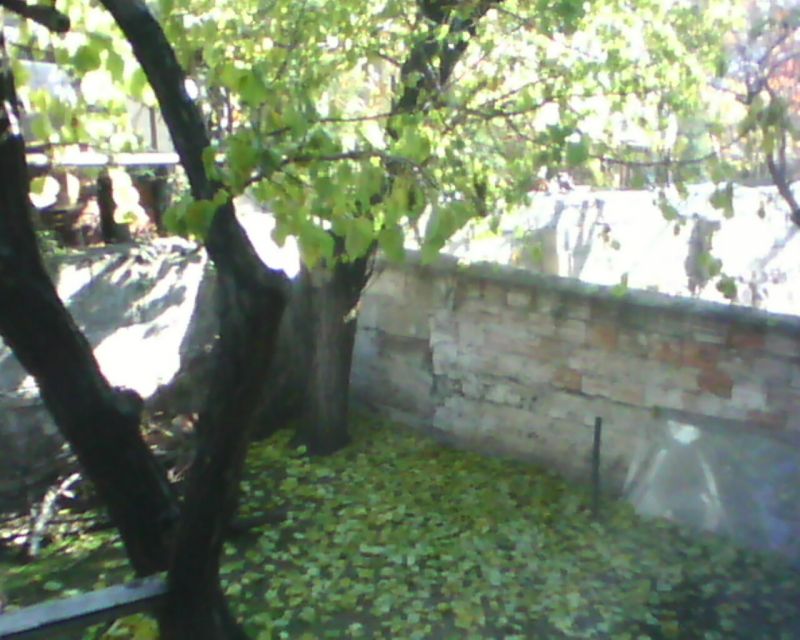 IMG0045A.jpg
