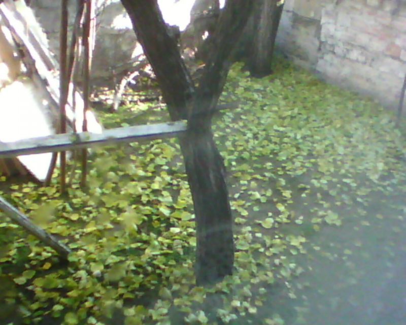 IMG0046A.jpg