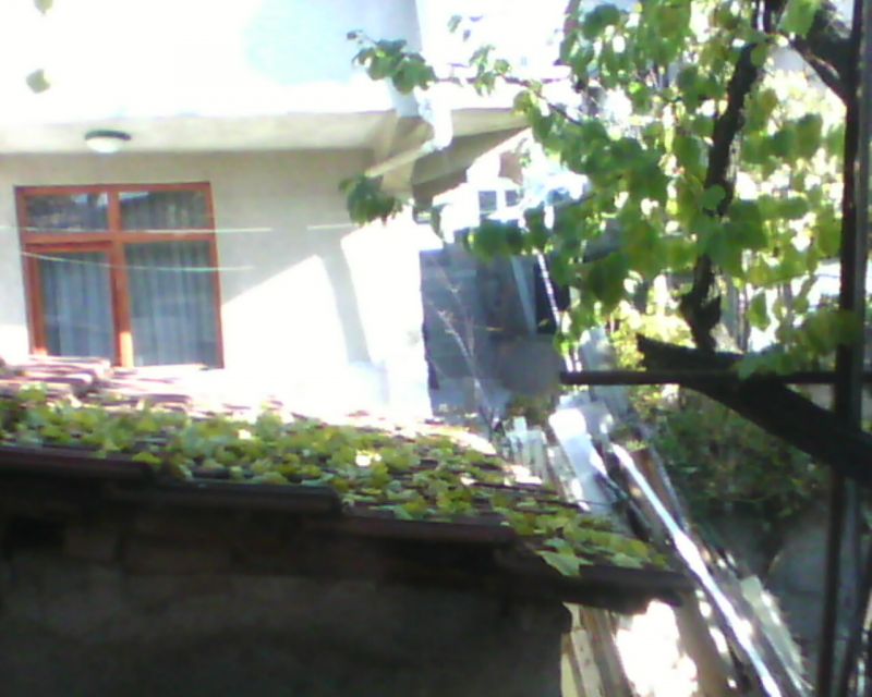 IMG0047A.jpg