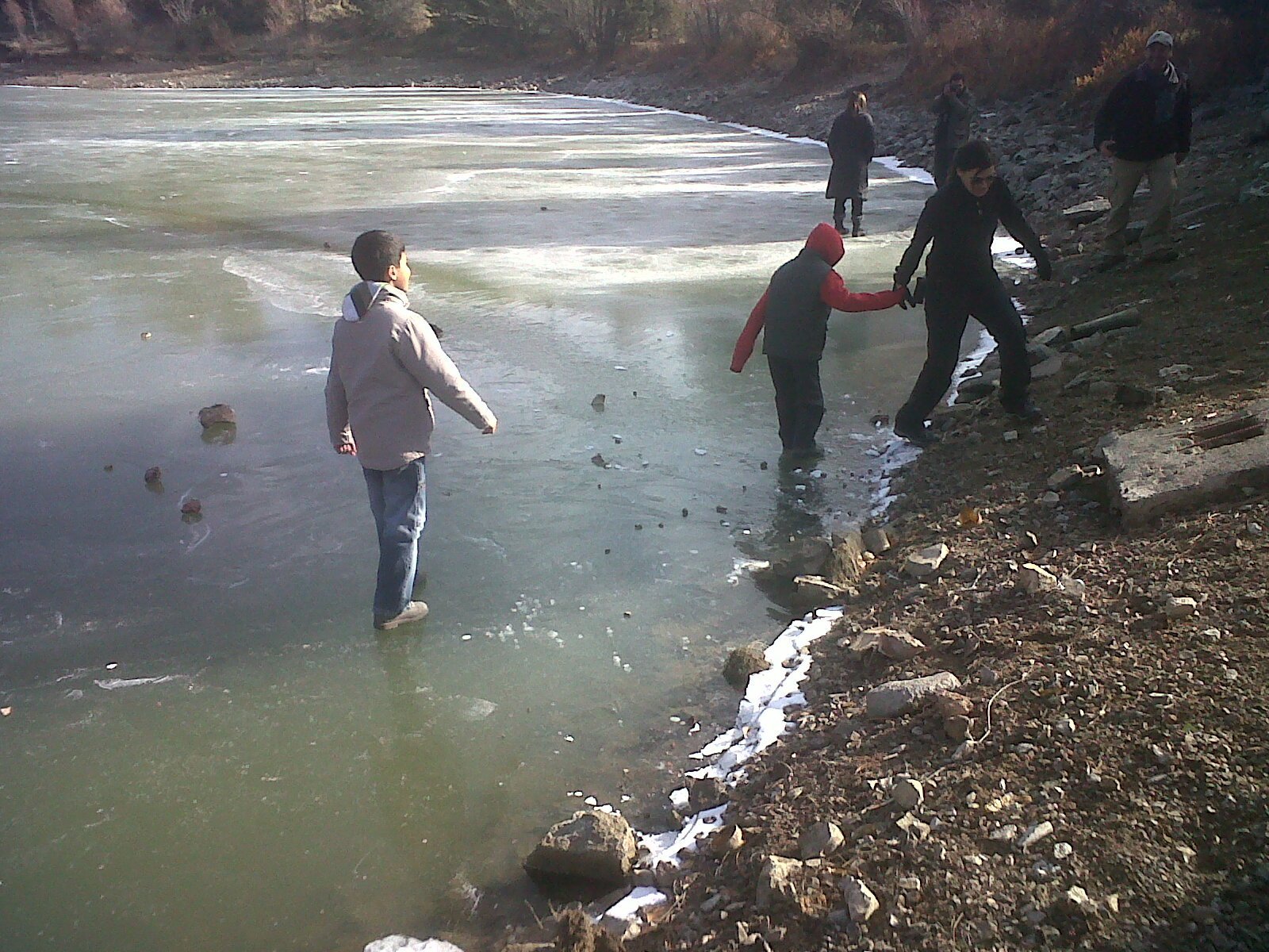 IMG00549-20111127-1043.jpg