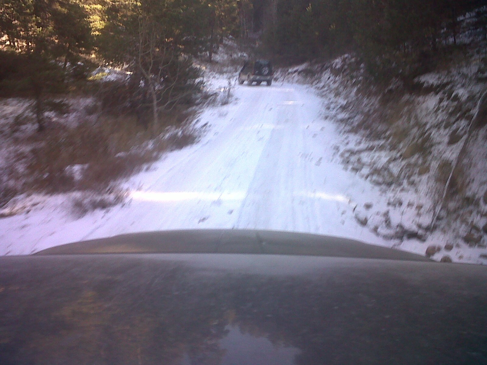 IMG00556-20111127-1232.jpg