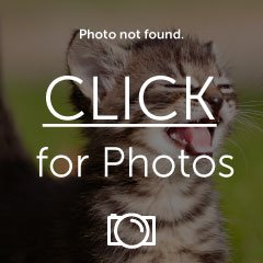 img007.jpg