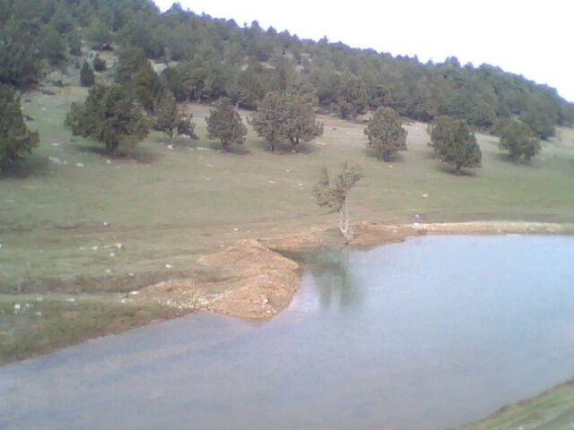IMG0076A.jpg