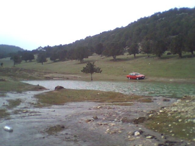 IMG0087A.jpg