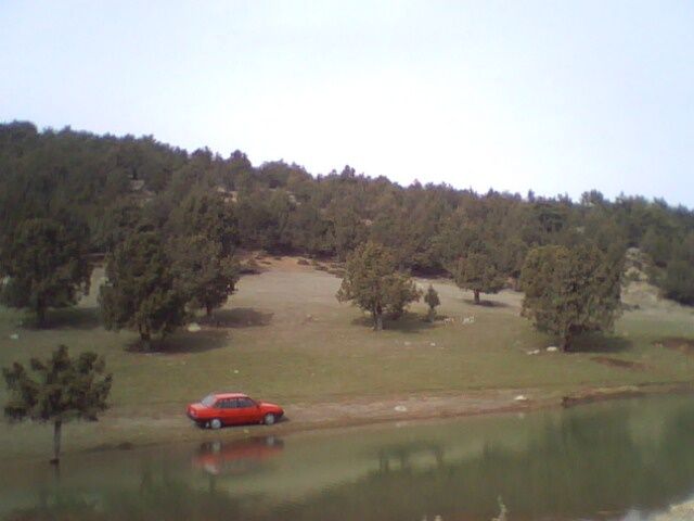 IMG0092A.jpg