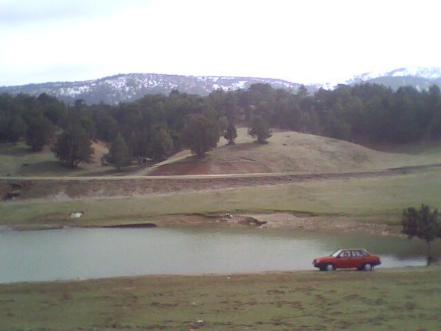 IMG0094A.jpg