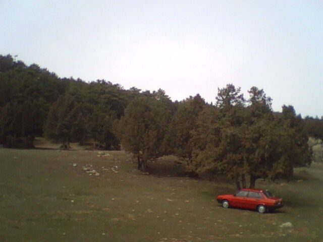 IMG0101A.jpg