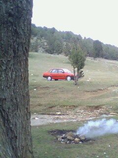 IMG0102A.jpg